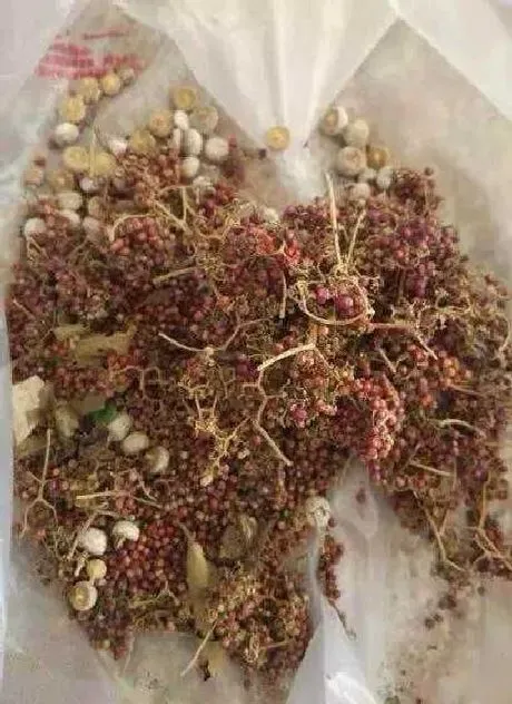 功效常识|紫珠草的功效与作用