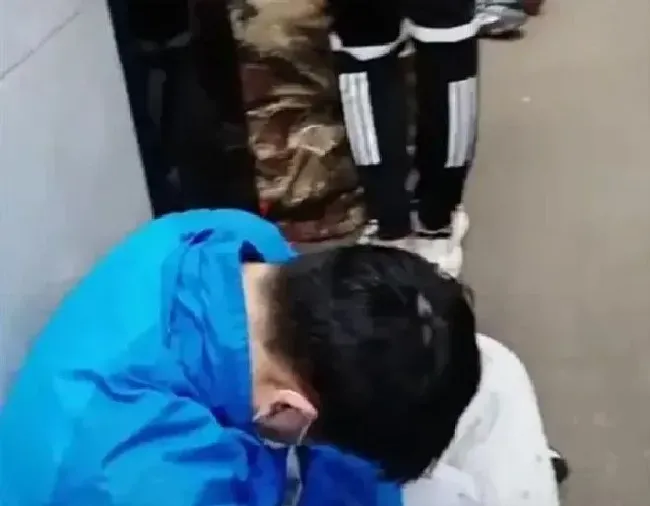 植物产地|泰山顶上游客挤厕所过夜 冻了一夜只看了个雾