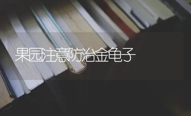 果园注意防治金龟子 | 瓜果种植