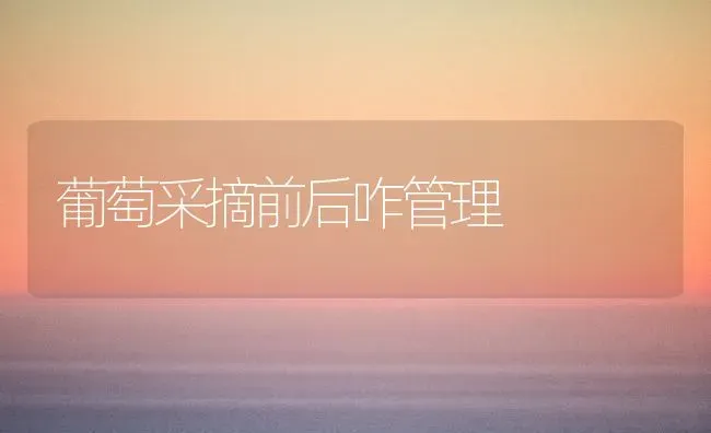 葡萄采摘前后咋管理 | 瓜果种植