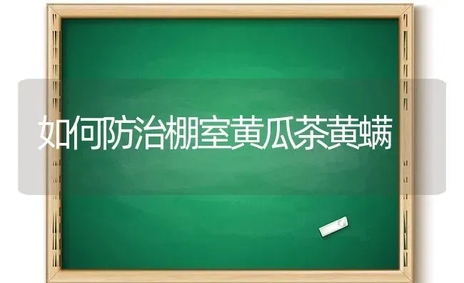 如何防治棚室黄瓜茶黄螨 | 蔬菜种植