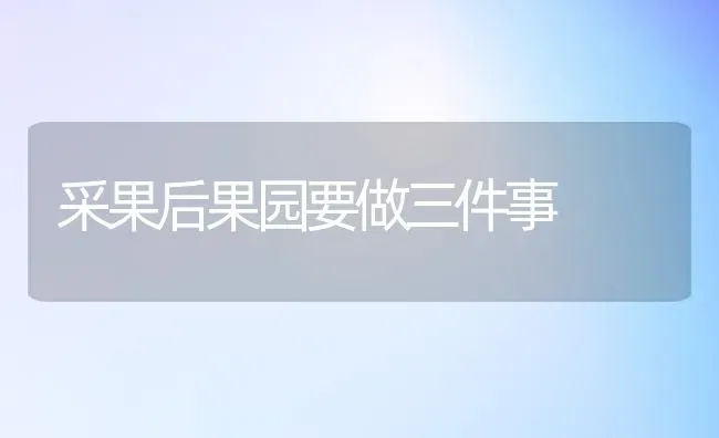 采果后果园要做三件事 | 瓜果种植