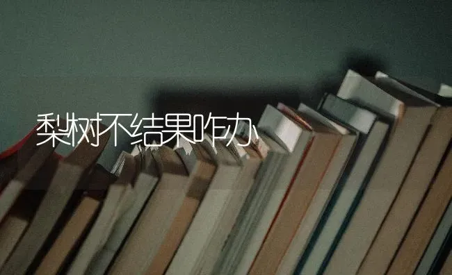 梨树不结果咋办 | 瓜果种植