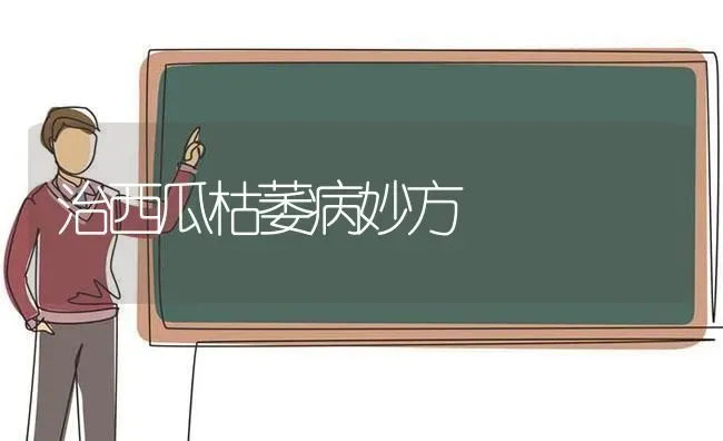 治西瓜枯萎病妙方 | 瓜果种植