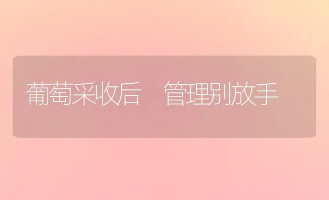 葡萄采收后 管理别放手 | 瓜果种植