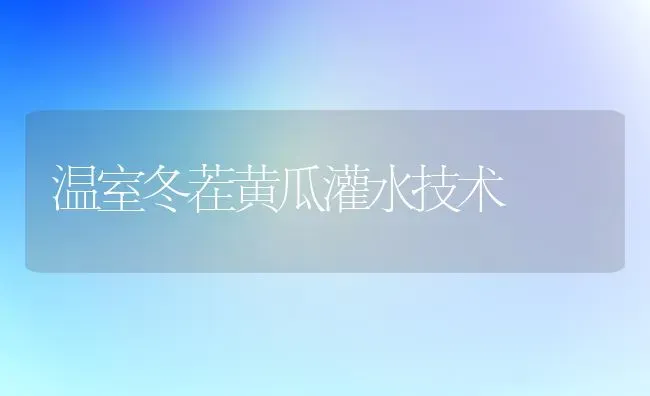 温室冬茬黄瓜灌水技术 | 蔬菜种植