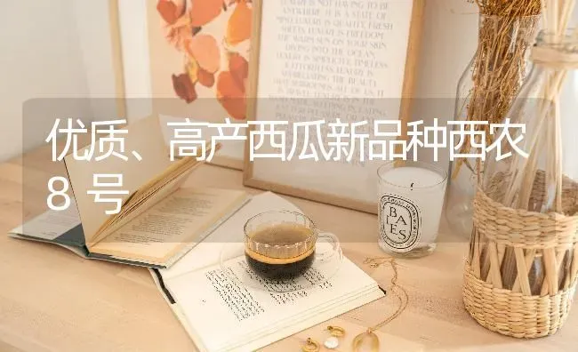 优质、高产西瓜新品种西农8号 | 瓜果种植