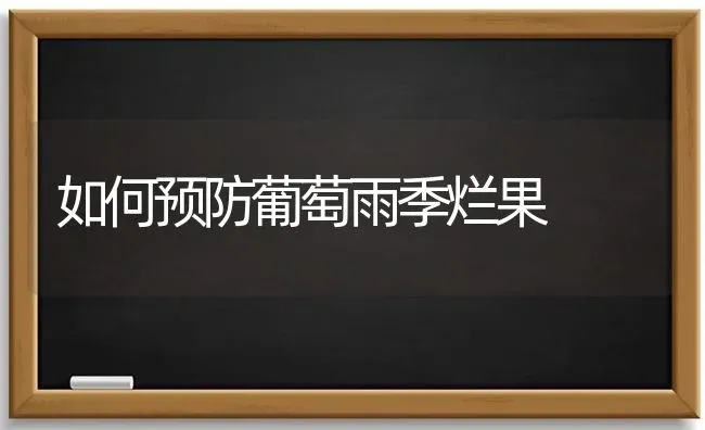 如何预防葡萄雨季烂果 | 瓜果种植