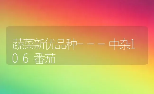 蔬菜新优品种---中杂106番茄 | 蔬菜种植