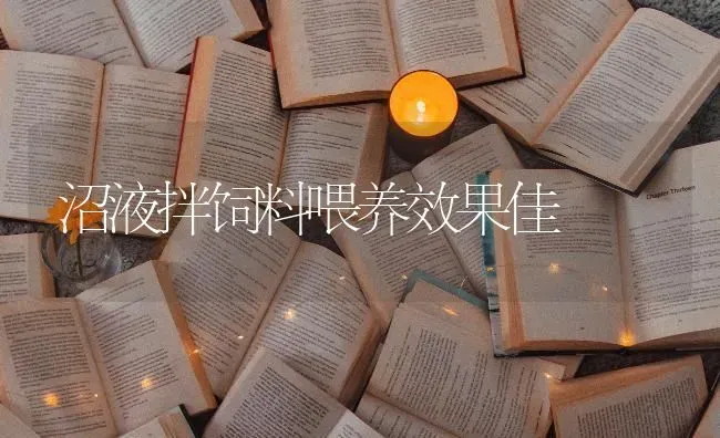 沼液拌饲料喂养效果佳 | 瓜果种植