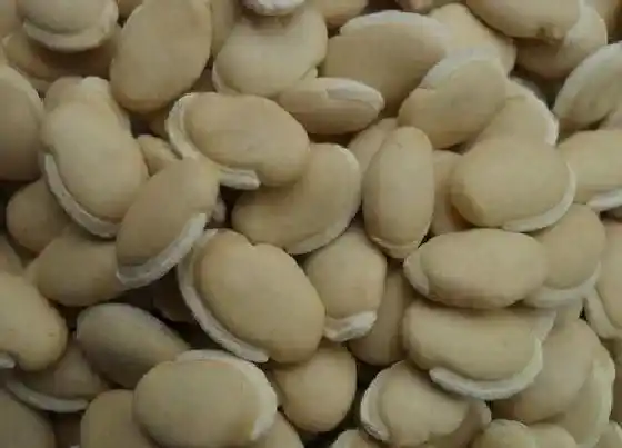 不开花|白扁豆不开花怎么回事 不开花的原因及处理方法