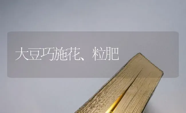 大豆巧施花、粒肥 | 粮油作物种植