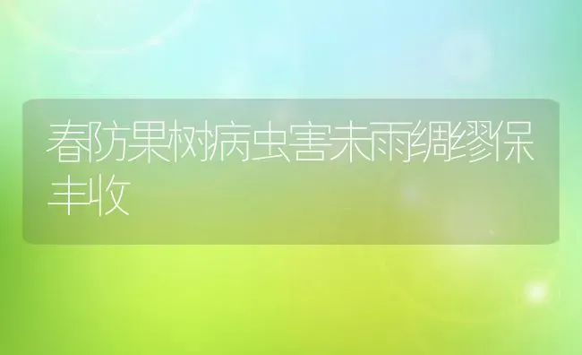 春防果树病虫害未雨绸缪保丰收 | 瓜果种植