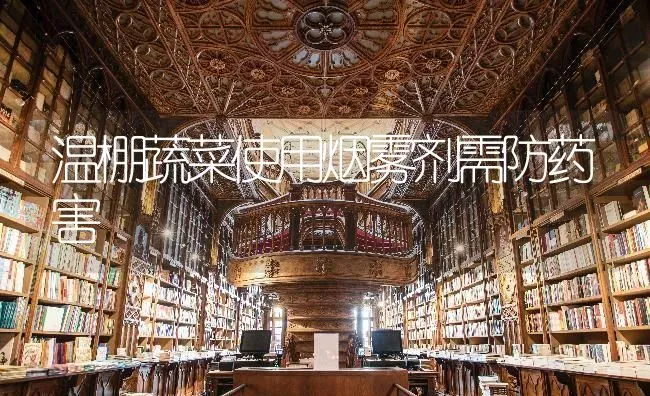 温棚蔬菜使用烟雾剂需防药害 | 蔬菜种植