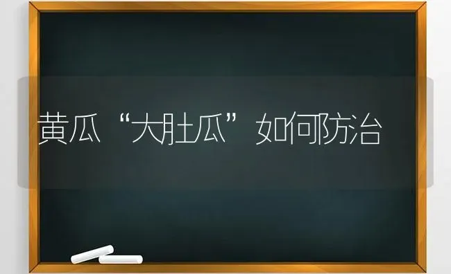 黄瓜“大肚瓜”如何防治 | 蔬菜种植