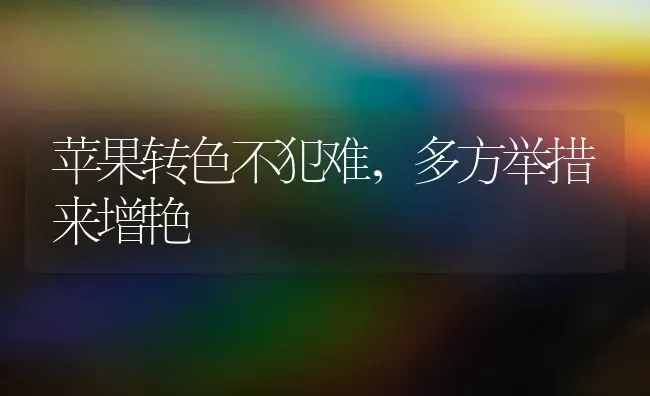 苹果转色不犯难，多方举措来增艳 | 瓜果种植