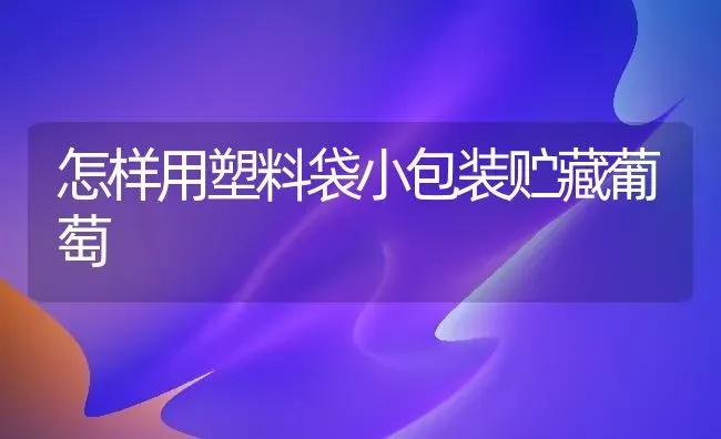 怎样用塑料袋小包装贮藏葡萄 | 瓜果种植