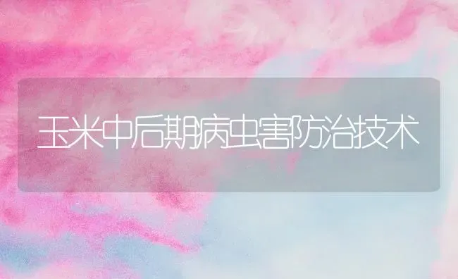 玉米中后期病虫害防治技术 | 种植病虫害防治