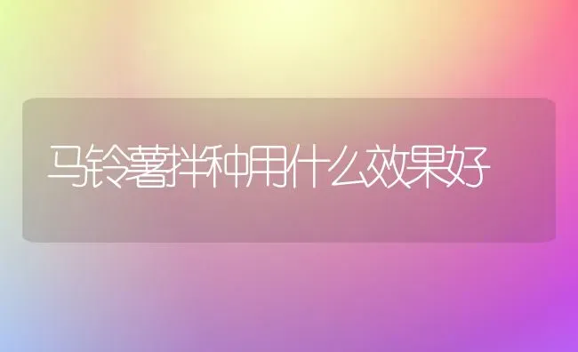 马铃薯拌种用什么效果好 | 瓜果种植