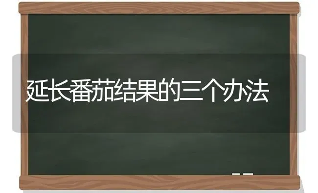 延长番茄结果的三个办法 | 瓜果种植