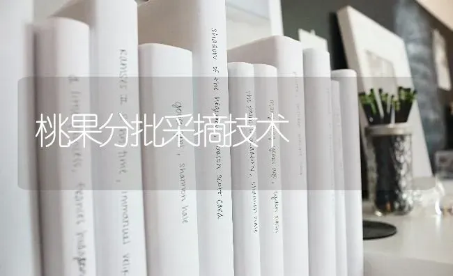 桃果分批采摘技术 | 瓜果种植