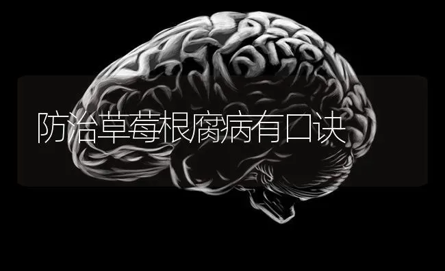 防治草莓根腐病有口诀 | 瓜果种植