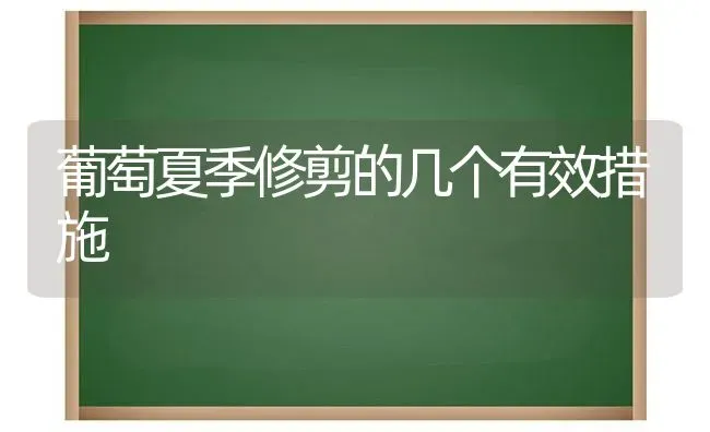 葡萄夏季修剪的几个有效措施 | 瓜果种植