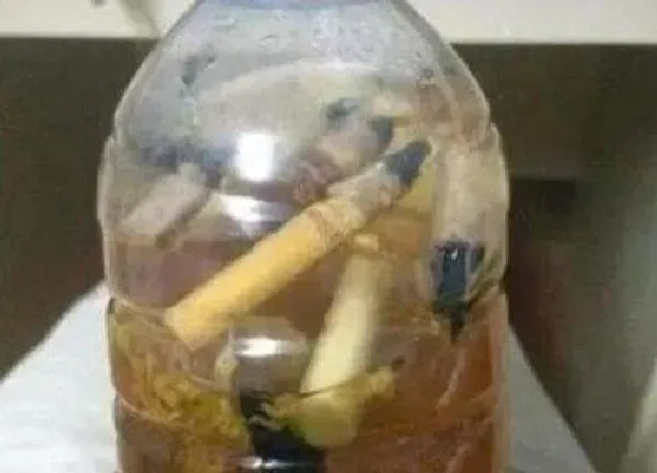 植物浇水|烟灰水可以浇花吗