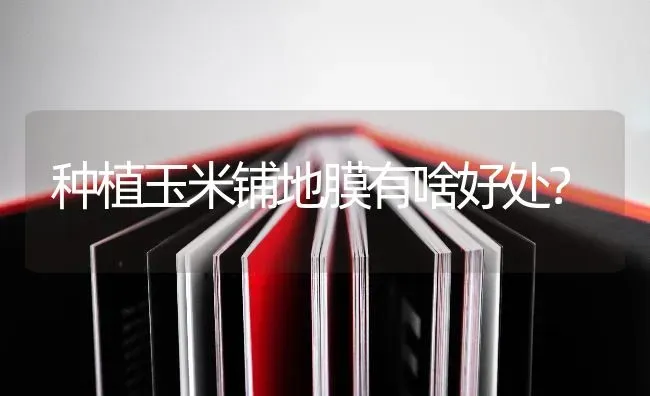 新植果树冬季咋管理 | 瓜果种植