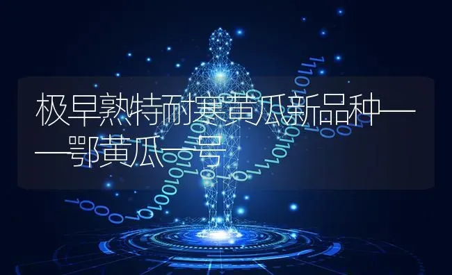 极早熟特耐寒黄瓜新品种——鄂黄瓜一号 | 蔬菜种植
