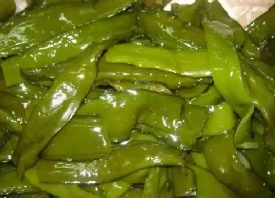 植物常识|裙带菜是海带芽吗