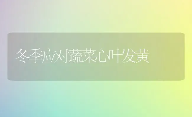 冬季应对蔬菜心叶发黄 | 蔬菜种植