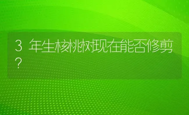 3年生核桃树现在能否修剪？ | 瓜果种植