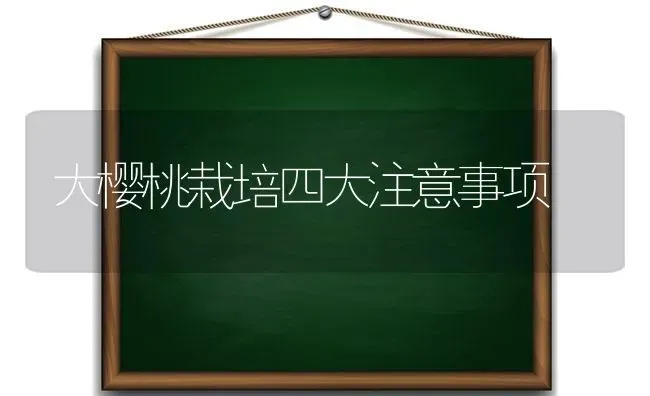 大樱桃栽培四大注意事项 | 瓜果种植
