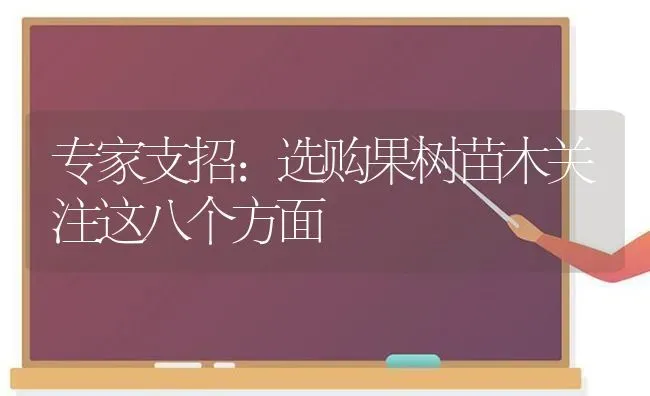 专家支招：选购果树苗木关注这八个方面 | 瓜果种植