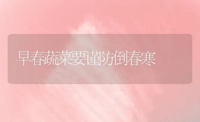 早春蔬菜要谨防倒春寒 | 蔬菜种植