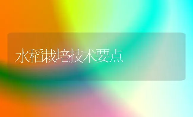 水稻栽培技术要点 | 粮油作物种植