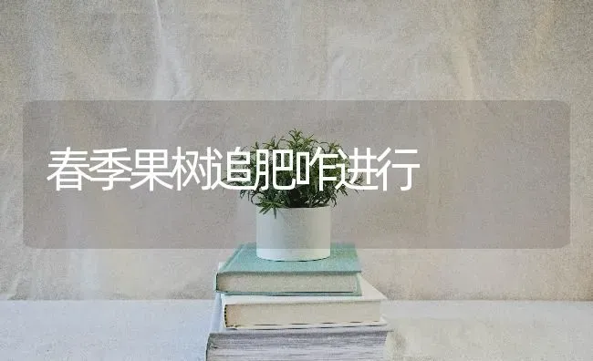 春季果树追肥咋进行 | 瓜果种植