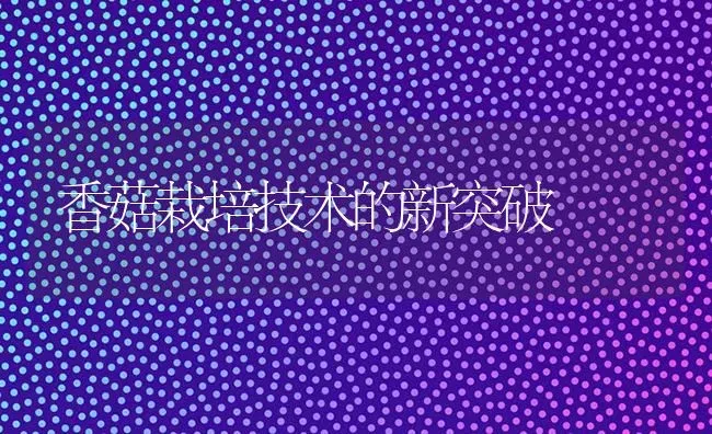 香菇栽培技术的新突破 | 食用菌种植