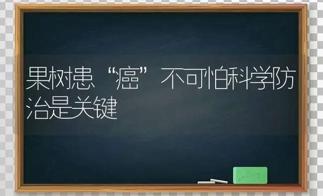 果树患“癌”不可怕科学防治是关键 | 瓜果种植