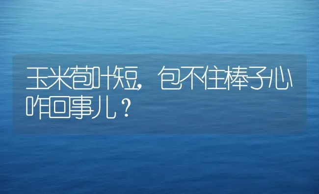 玉米苞叶短，包不住棒子心咋回事儿？ | 粮油作物种植