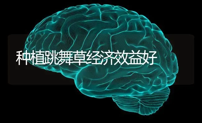种植跳舞草经济效益好 | 植物种植百科