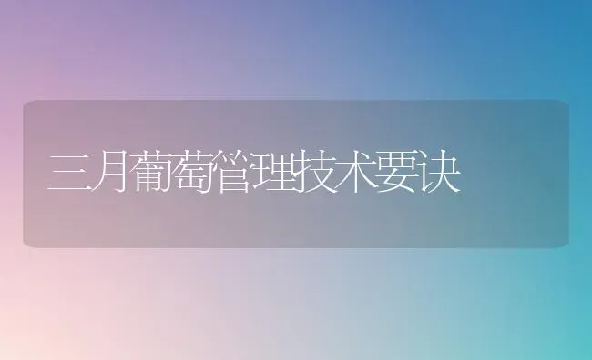 三月葡萄管理技术要诀 | 瓜果种植