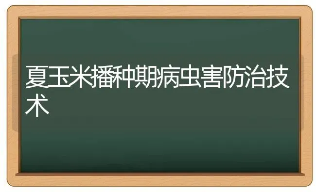 夏玉米播种期病虫害防治技术 | 种植病虫害防治