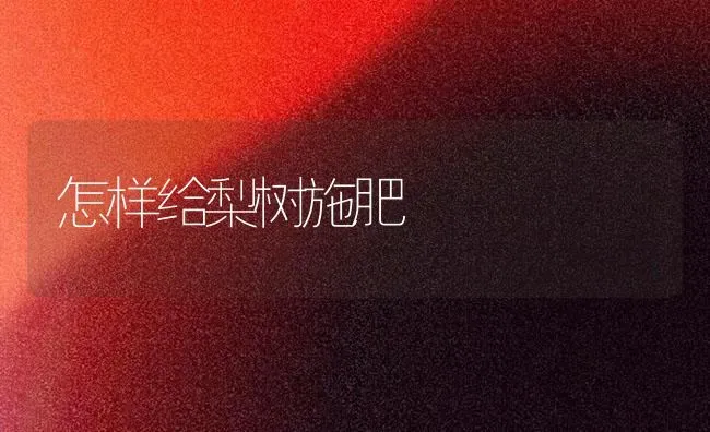 怎样给梨树施肥 | 种植肥料施肥