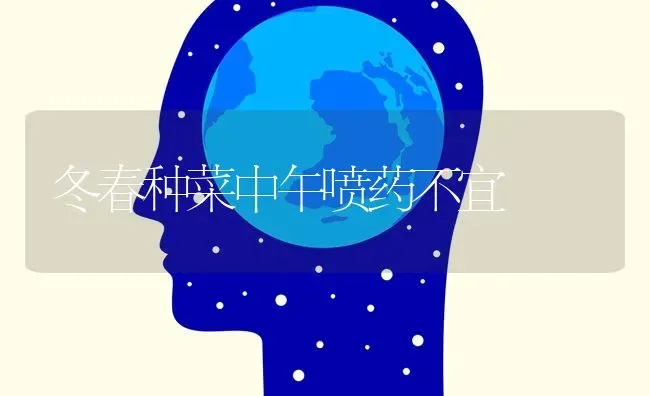 冬春种菜中午喷药不宜 | 蔬菜种植