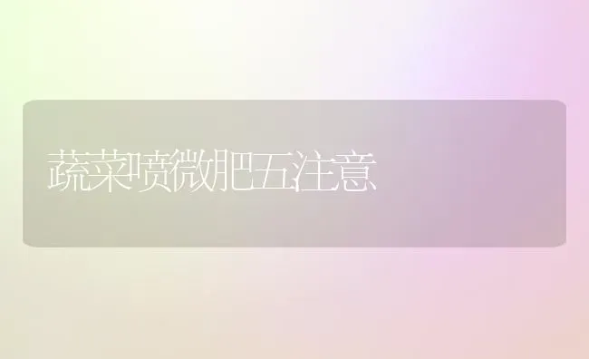 蔬菜喷微肥五注意 | 蔬菜种植