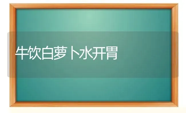 牛饮白萝卜水开胃 | 蔬菜种植