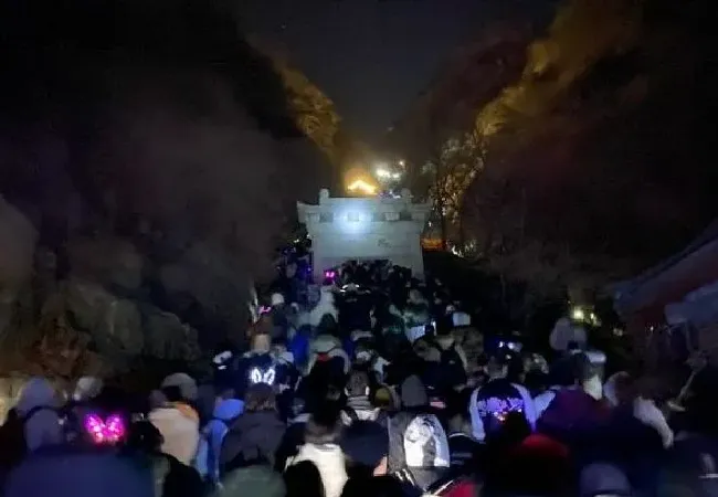 植物产地|泰山顶上游客挤厕所过夜 冻了一夜只看了个雾