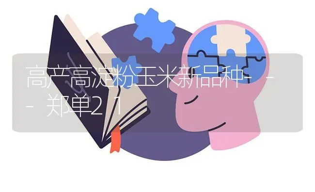 高产高淀粉玉米新品种---郑单21 | 粮油作物种植